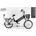 48 V 20 &quot;Véhicule Électrique Vélo Électrique